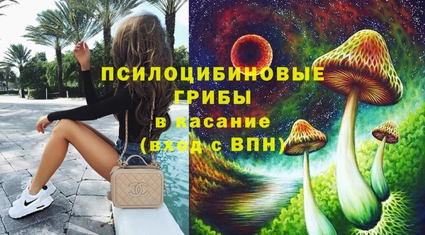 гидра Аркадак