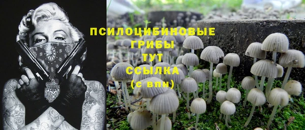 mix Арсеньев