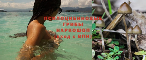 mix Арсеньев